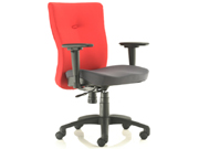 �����T��CG-C293E_�k���Ҿ�_�����T��_�k����