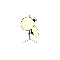 Large Cone Light�F��������؟�CGL729_�k���Ҿ�_��؟�_�F��������