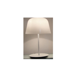 �F���_��CGT8001|�F��������|�_��|�k���Ҿ�
