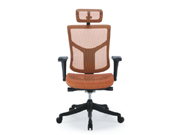 �W������� cg-sts-M01